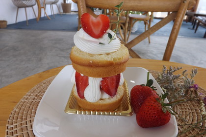 ビクトリア・ケーキ